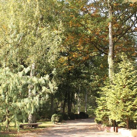 Hotel Und Restaurant Waldschloesschen Crivitz ภายนอก รูปภาพ
